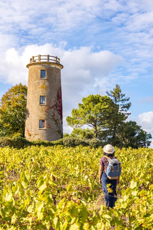 La haye fouassiere vignoble de nantes tourisme credit lad-clo et clem 2021 (4)
