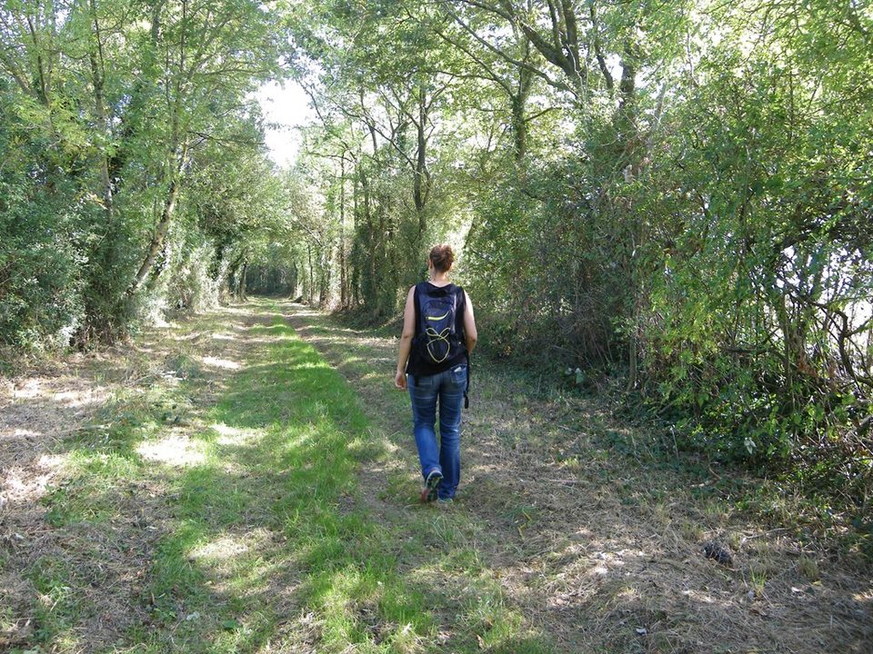 circuit-les-ombrages-le-landreau-levignoblenantes-tourisme (8)