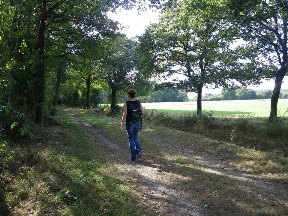 circuit-les-ombrages-le-landreau-levignoblenantes-tourisme (3)