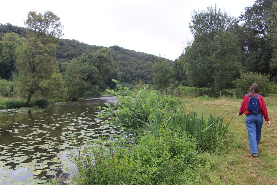 Vallée du Hâvre