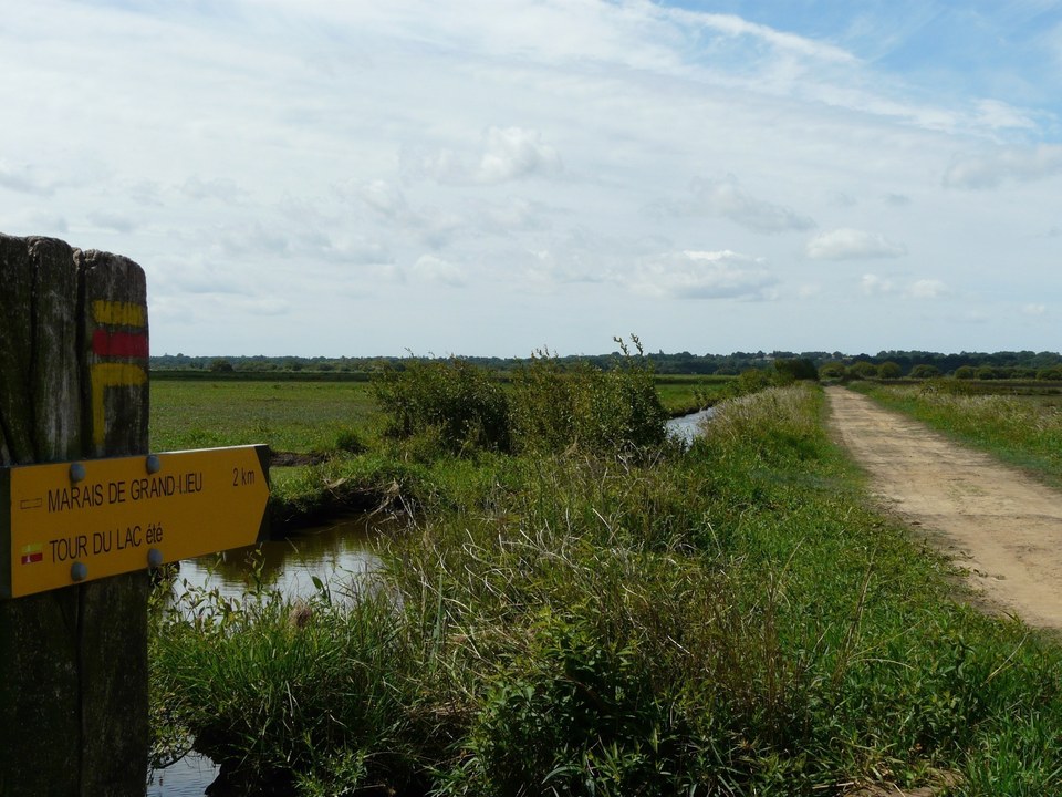 Le Marais de Grand Lieu