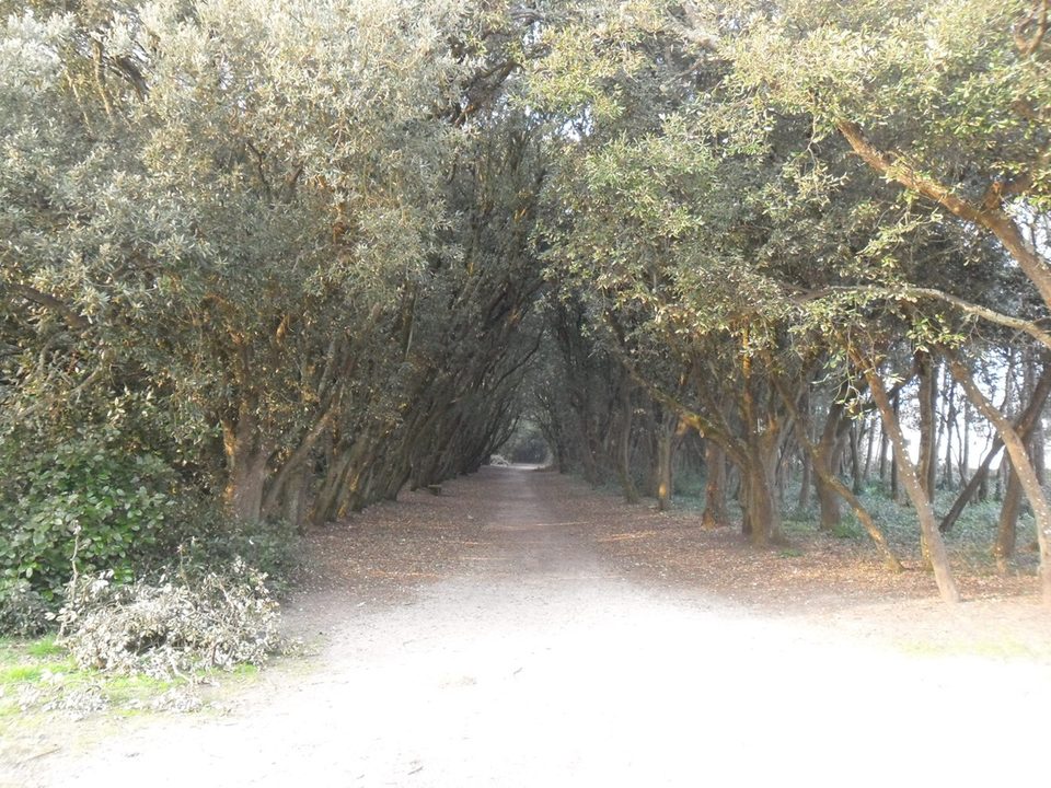 Les Landes du Gouverneur