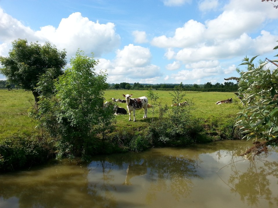 Circuit du Canal à l'Île Adet