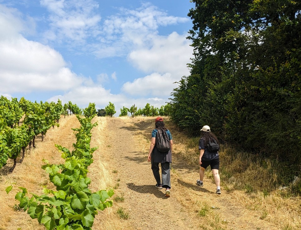 Circuit Vignobles & Vallée - Pierres Meslières