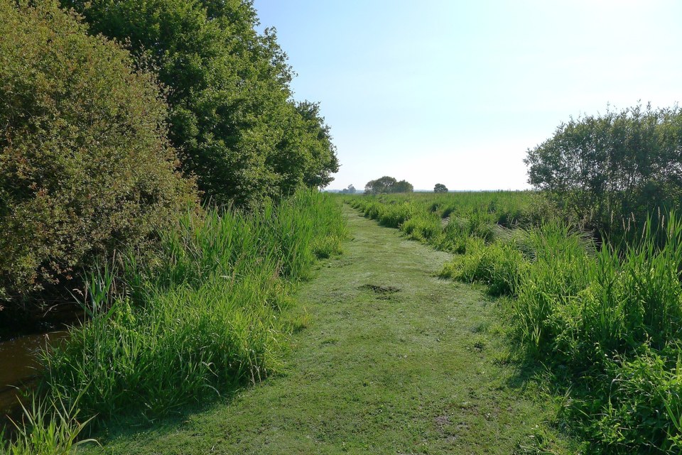 La Ménagerie des Marais-Chapelain