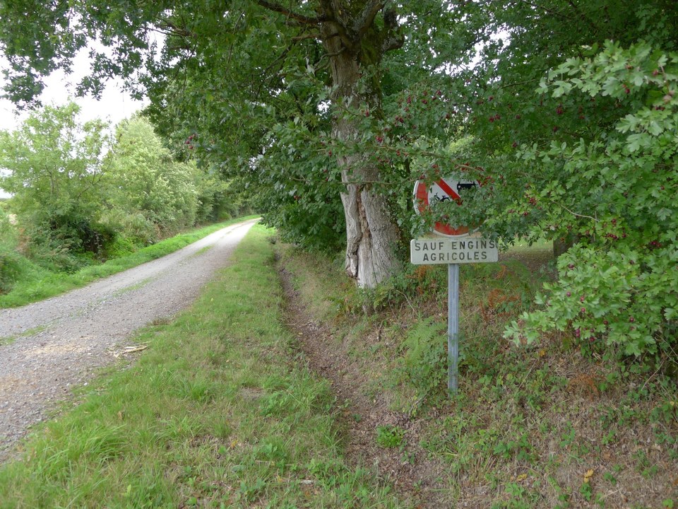 Autour de l'Ardivais_Besné_chemin chapelle Saint Second