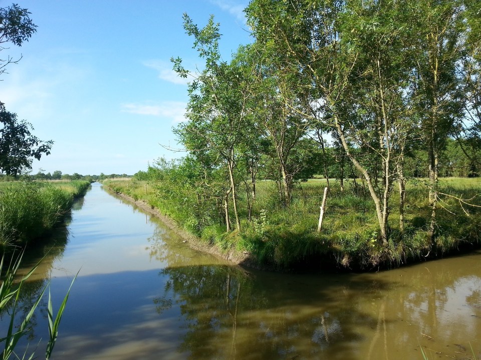les-marais-ccse-5352_3