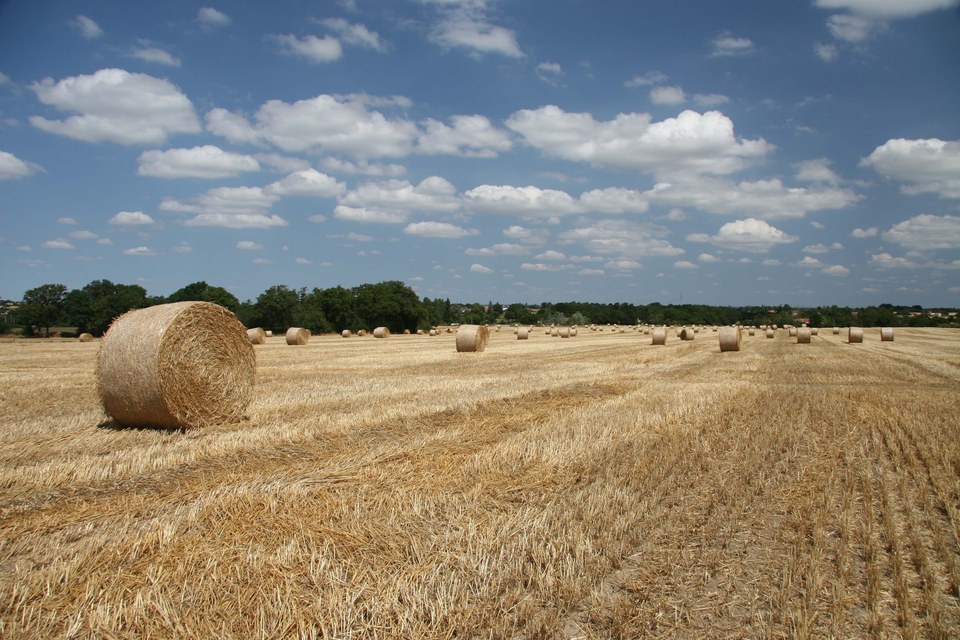 circuit-des-landes-2_1