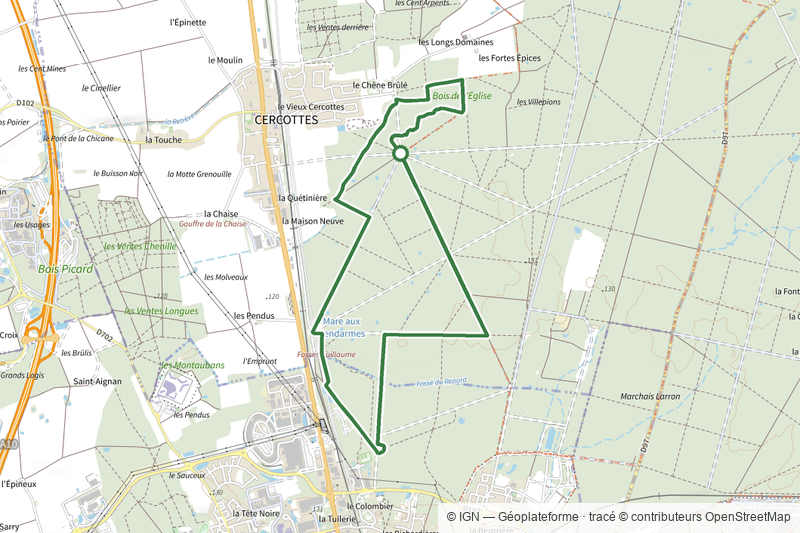 La Forêt d’Orléans Saran