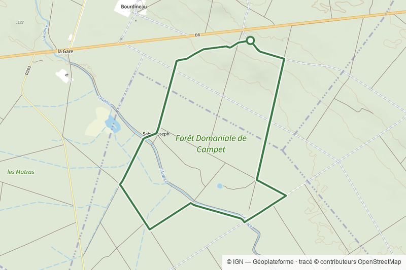 Fargues-sur-Ourbise - La forêt domaniale de Campet - 5.5 km