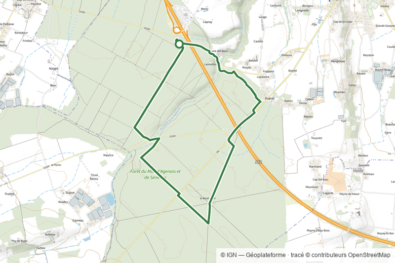 Le Mas-d'Agenais - Les princes des sous-bois en forêt du Mas - 7 km