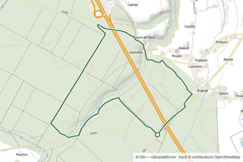 Le Mas-d'Agenais - Les princes des sous-bois en forêt du Mas (Variante) - 5.4 km