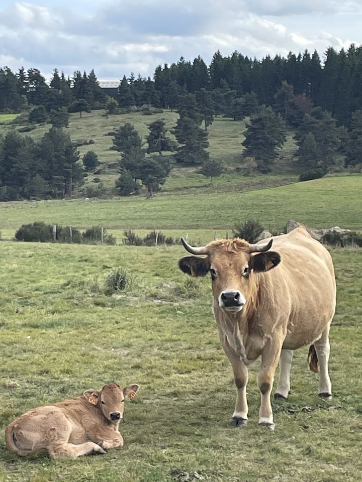 Rencontre en chemin