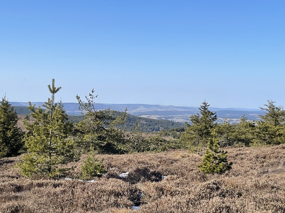 Circuit de la Gardille - VTT n°5