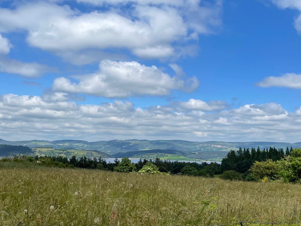Panorama en juin