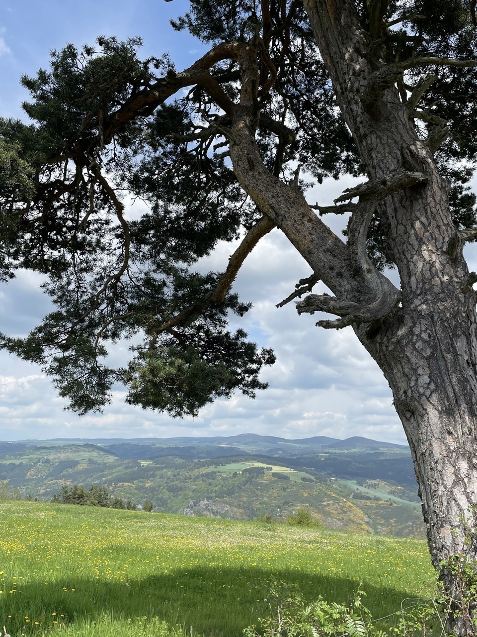 Point de vue sur la vallée de l'Allier et le Velay
