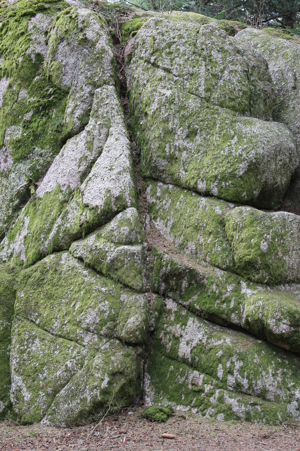 Dessins sur blocs de Granit