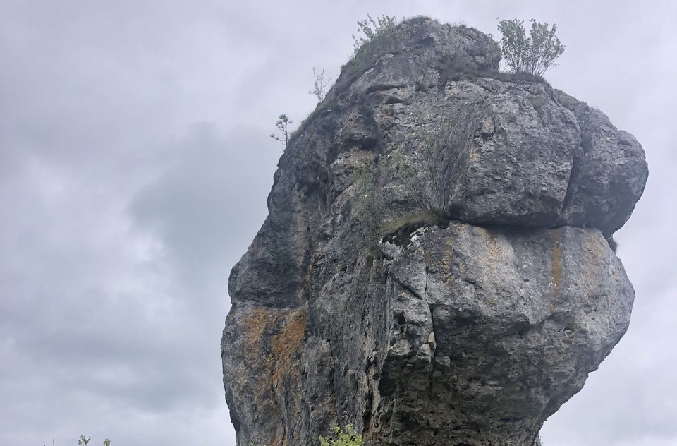 Lion de Balsièges