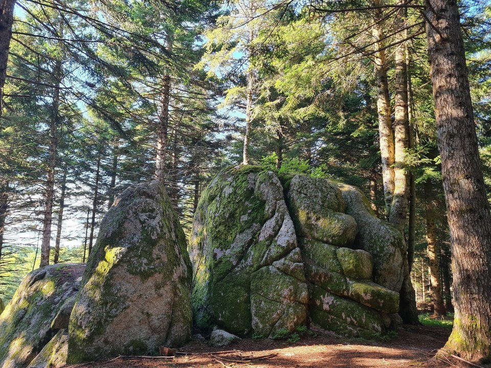 Excursion à Cheylard l'Evêque - Trail n°43