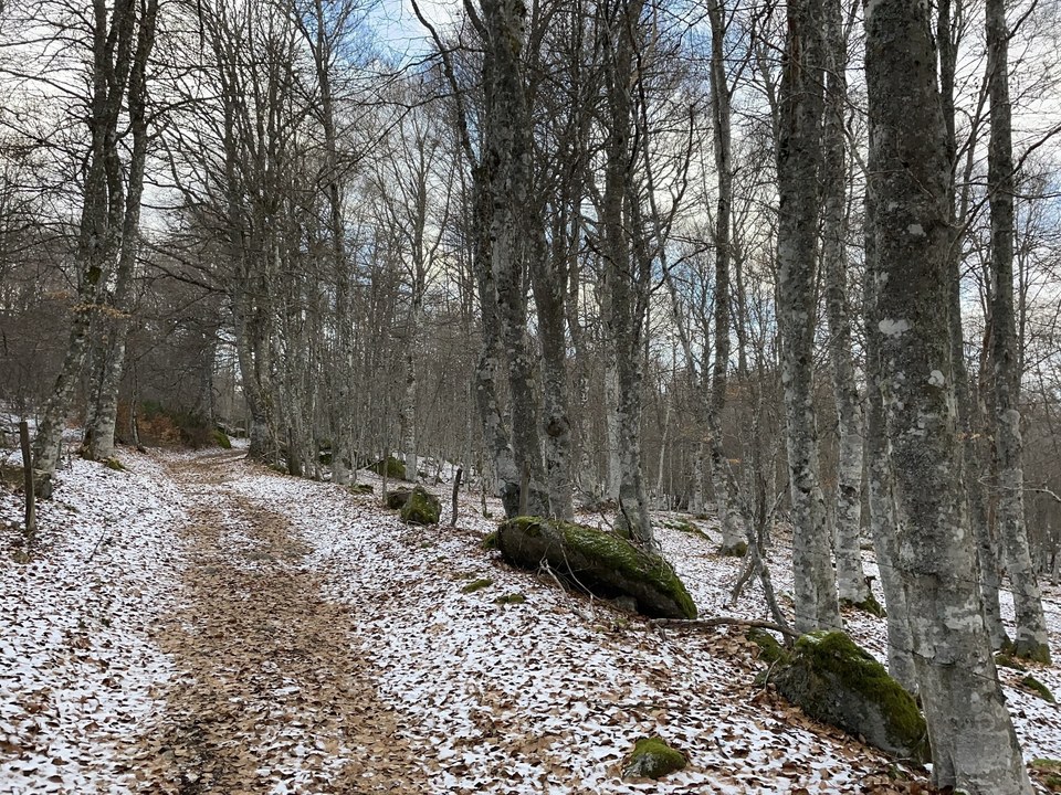 Margeride en hiver