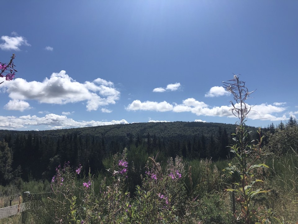 La Margeride