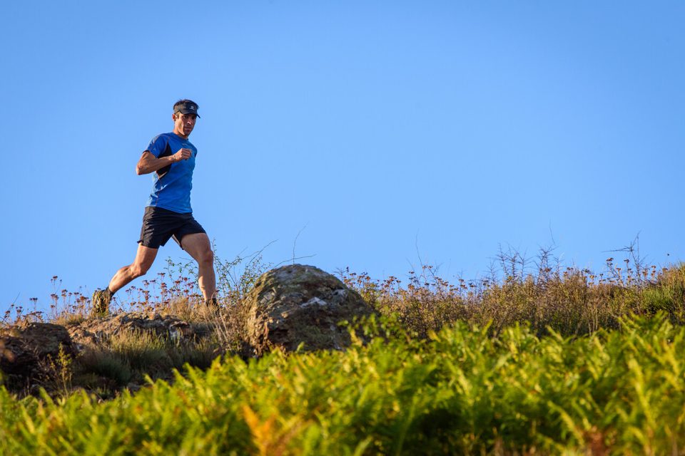 Courir en liberté
