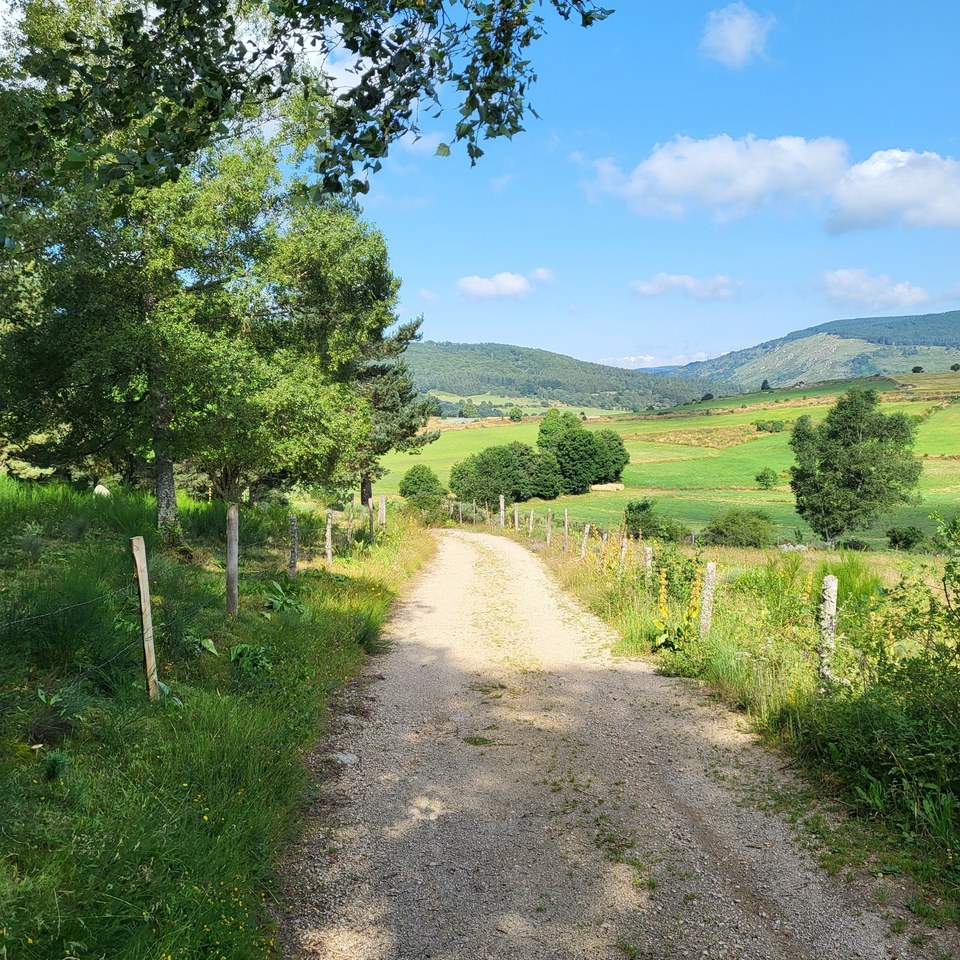 Domaine de Coulagnettes - VTT n°5