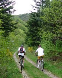 La Colombèche - VTT n°8