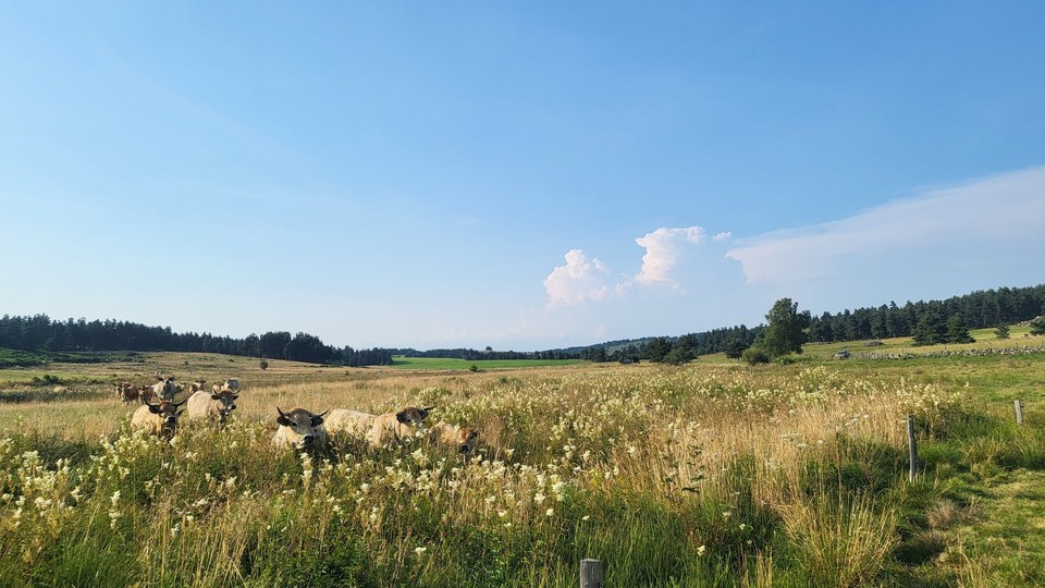 Le Menhir de Pierrefiche