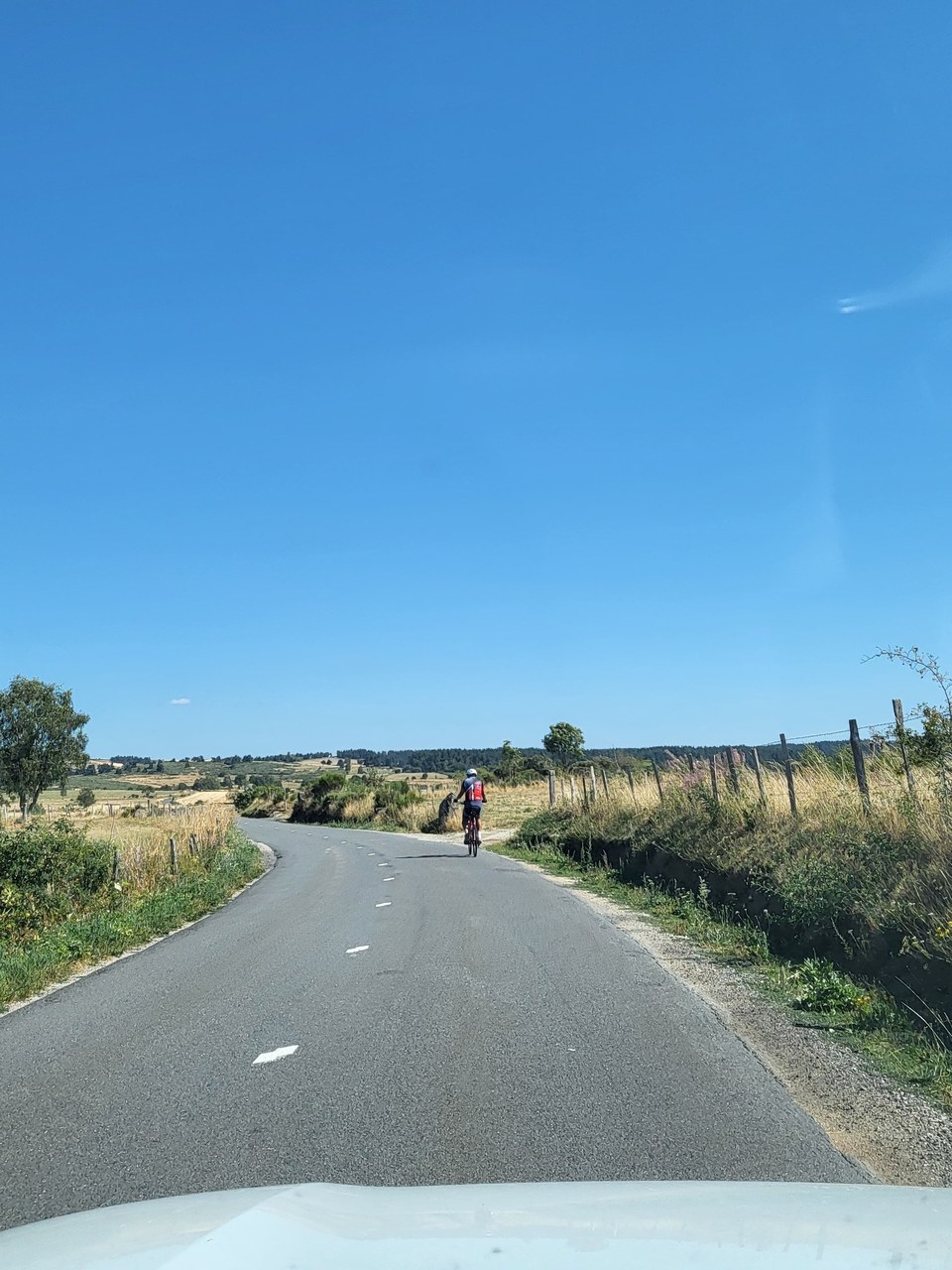 Sur la piste des Bisons