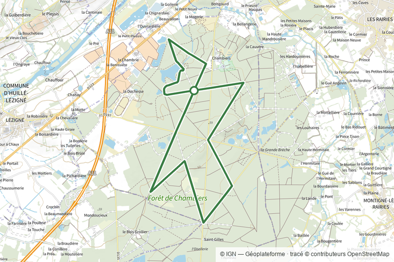 Circuit en forêt de Chambiers