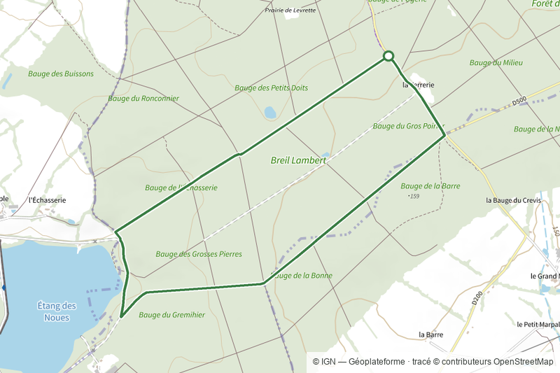 Chêne Enragé et Rond des Dames