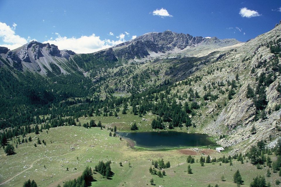 Le lac des Grenouilles, entre forêt et alpage