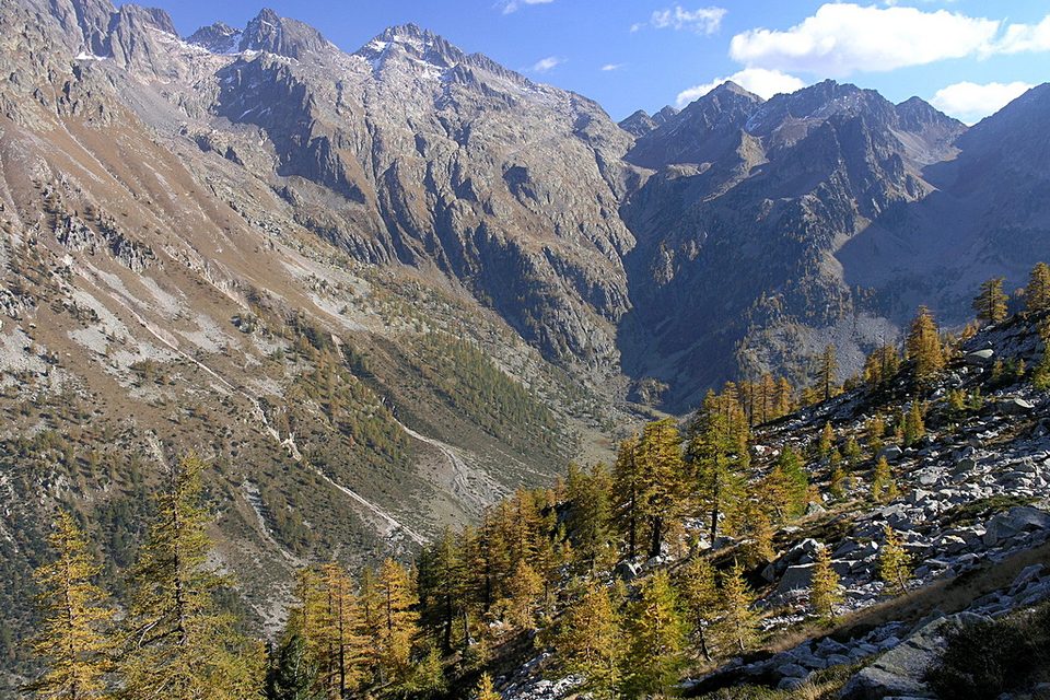 Pian della Casa del Re dal sentiero per il Lago soprano di Fremamorta