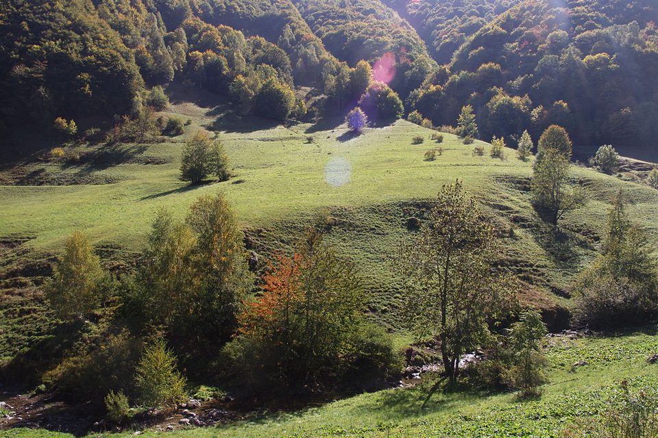 Tetti Creusa