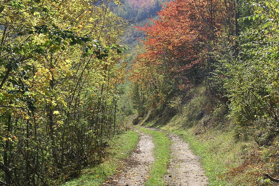 La strada sterrata nei pressi di Tetti Creusa