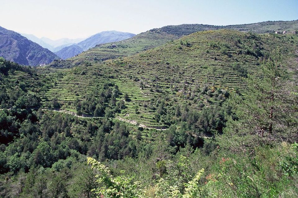 Sur l'Alta Via Ligure - La boucle du Mont Torrage