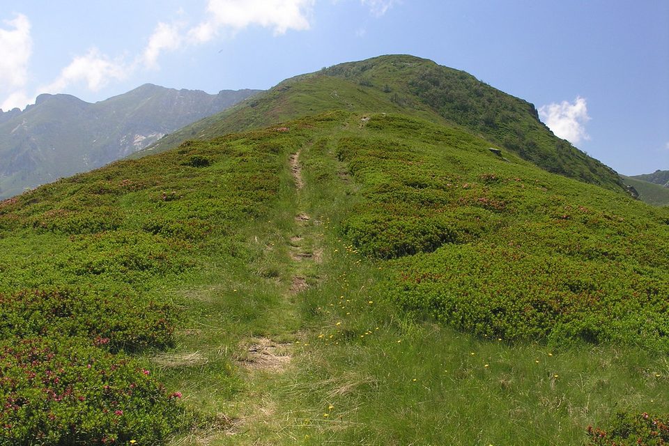 L'ultimo tratto del sentiero che sale al Monte Baussetti