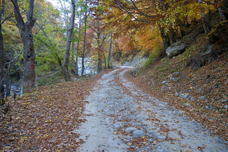 La strada sterrata che risale la Valcalda