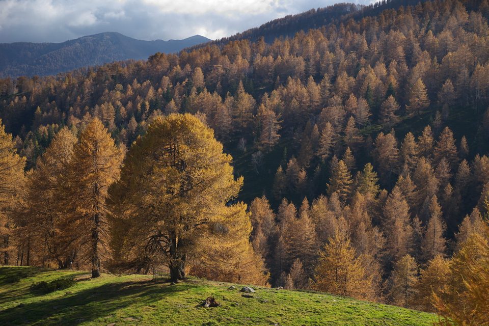 La Colla Rossa