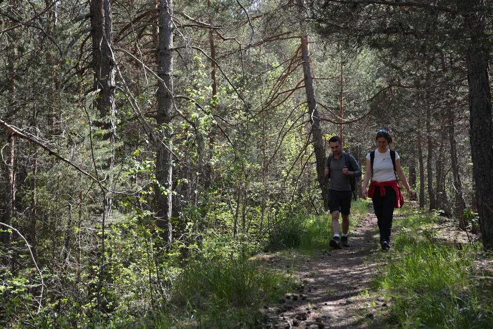 Vue sur le chemin qui longe le ruisseau du Bachelard