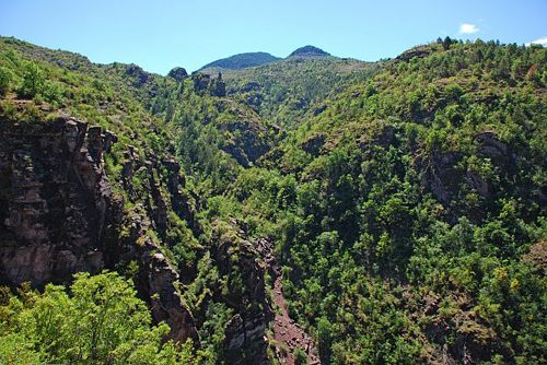 Les gorges de Daluis, le canyon de l'Amen, important couvert forestier.