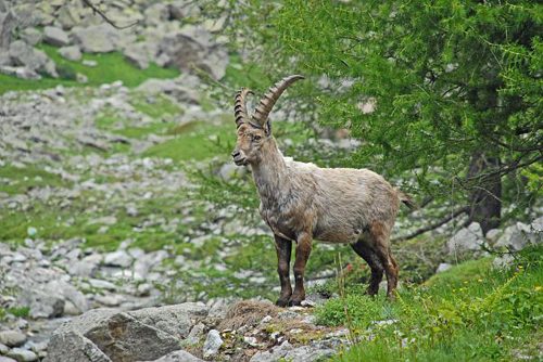 Randonnée au Col du Sabion