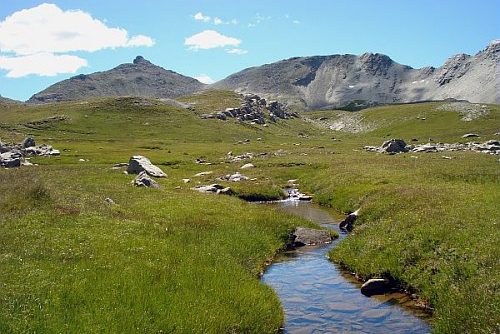 Zone humide dans le vallon de l'Estrop.