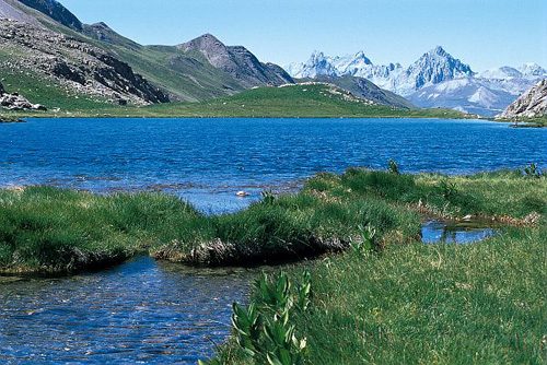 Le lac du Lauzanier en été, avec en arrière plan la Tête de Sautron (3165m), la Rocca Blanca (3193m) et la Meyna (3067m)