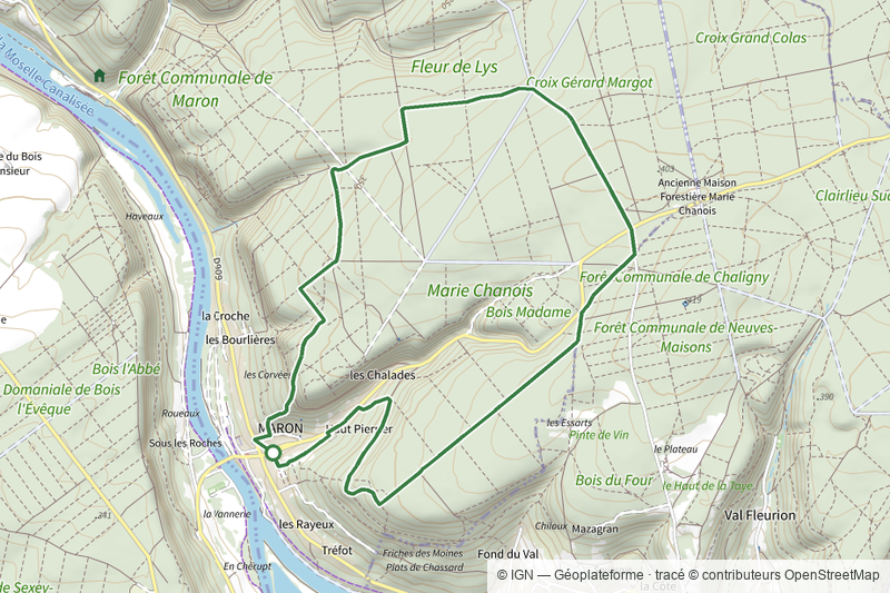 Circuit D1