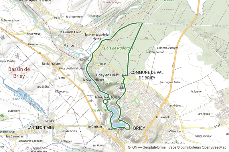 Bois de Napatan