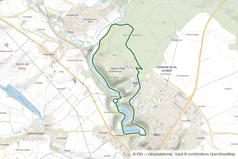 Bois des Moines
