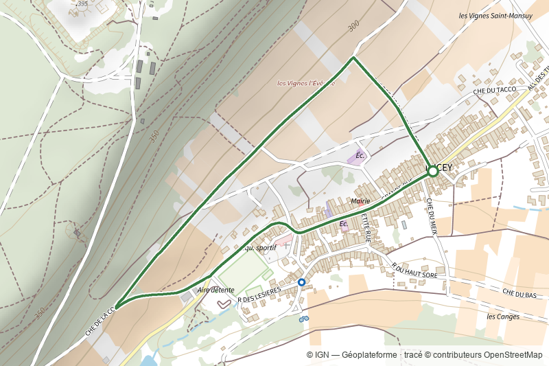 Chemin viticole Les Vignes l'Évêque