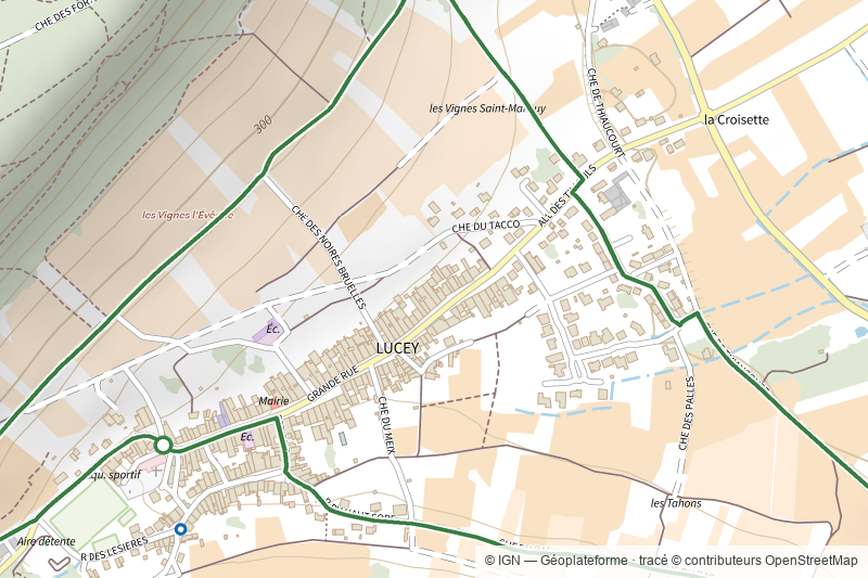 Circuit des Vignes